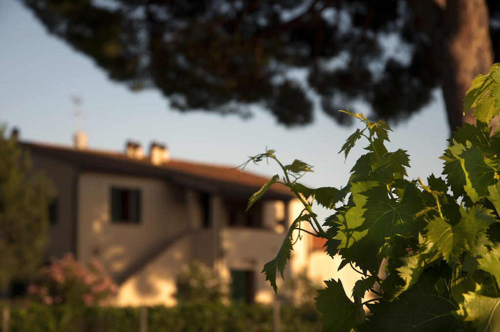 Agriturismo Quattro Pini Castagneto Carducci Exteriér fotografie