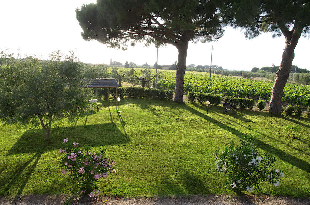 Agriturismo Quattro Pini Castagneto Carducci Pokoj fotografie