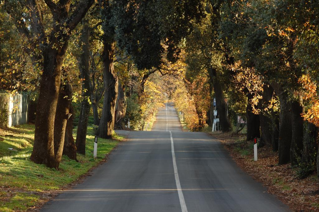 Agriturismo Quattro Pini Castagneto Carducci Exteriér fotografie