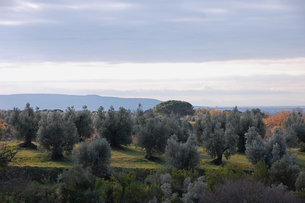 Agriturismo Quattro Pini Castagneto Carducci Exteriér fotografie