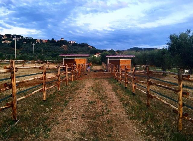 Agriturismo Quattro Pini Castagneto Carducci Exteriér fotografie